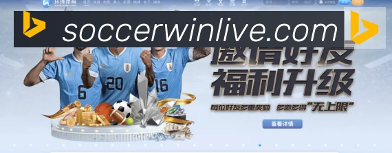未来规划